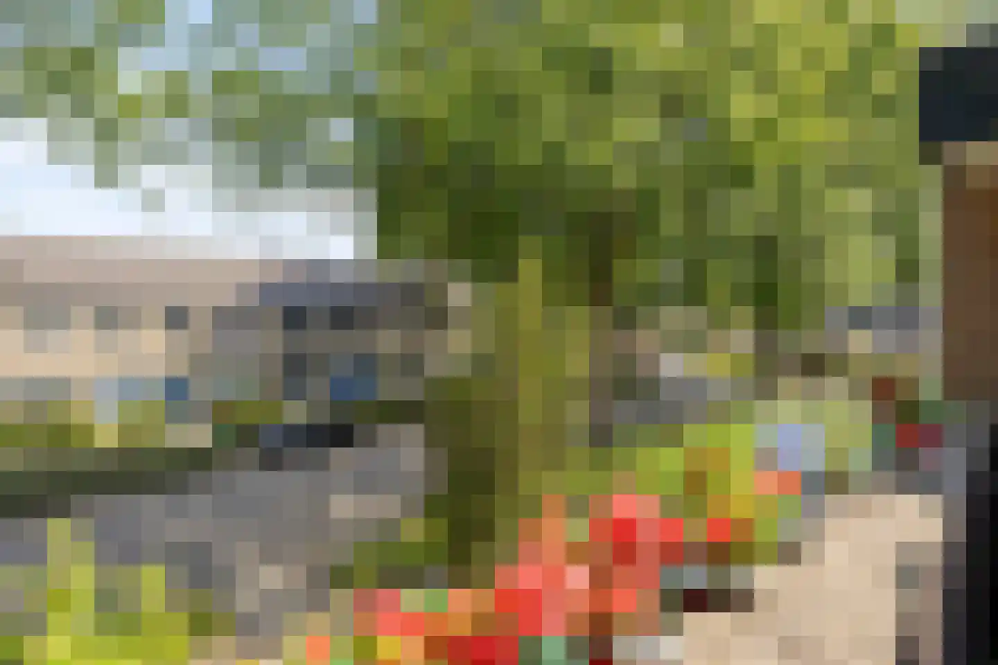 Ouderf 1 Breda thumbnail 22