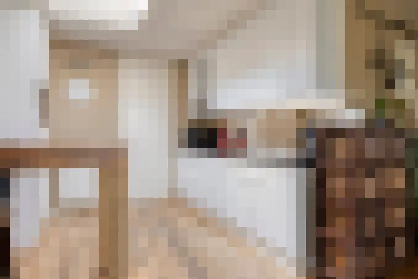 Ouderf 1 Breda foto 3