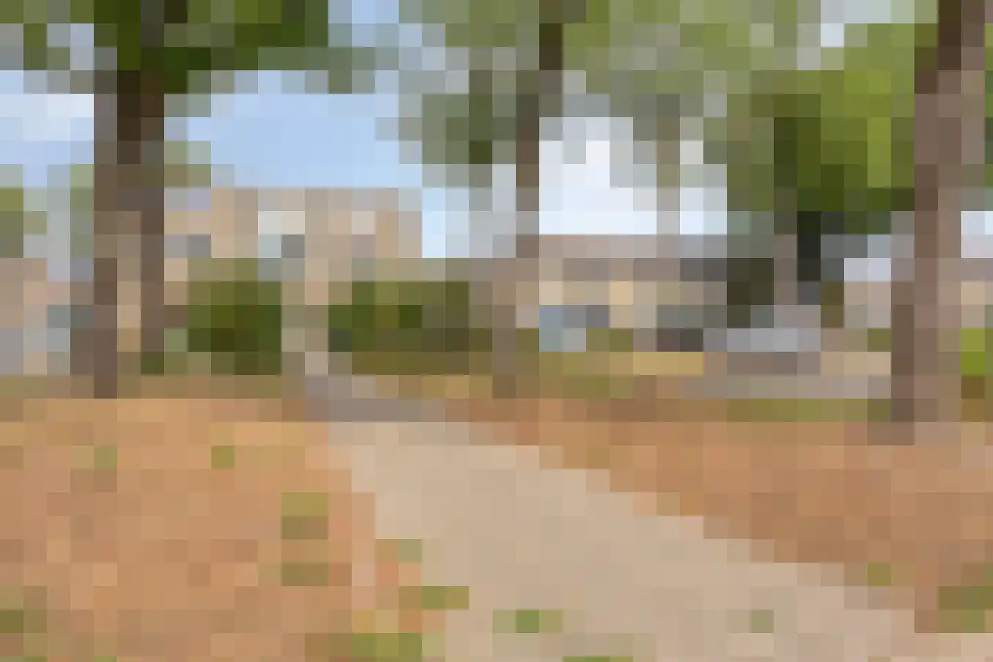 Ouderf 1 Breda thumbnail 36