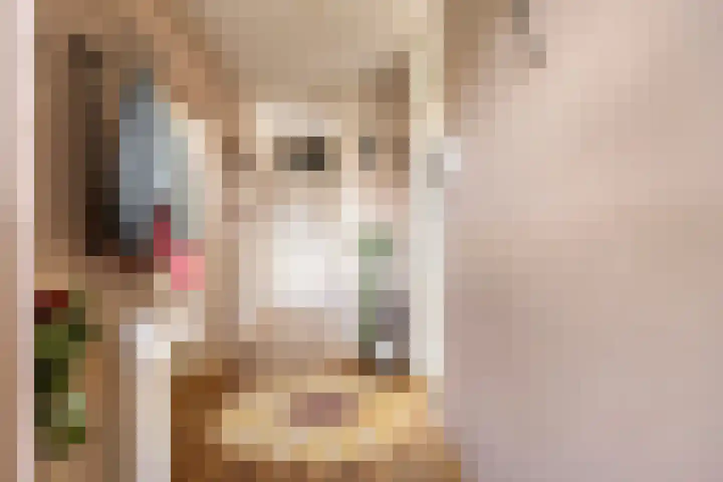 Ouderf 1 Breda thumbnail 9