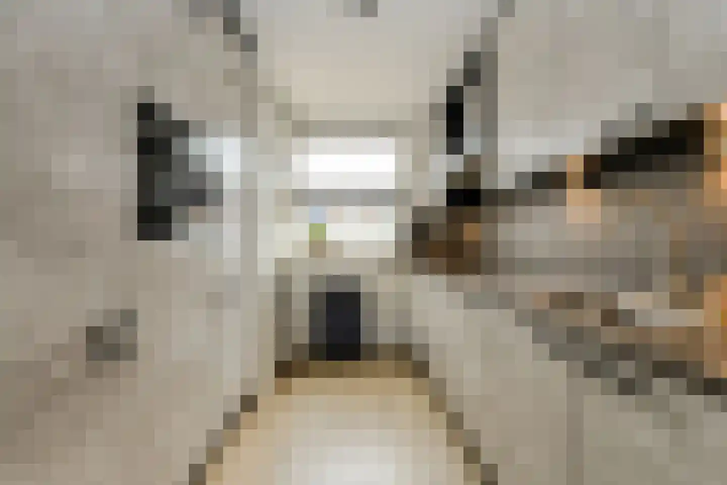 Ouderf 22 Breda thumbnail 10