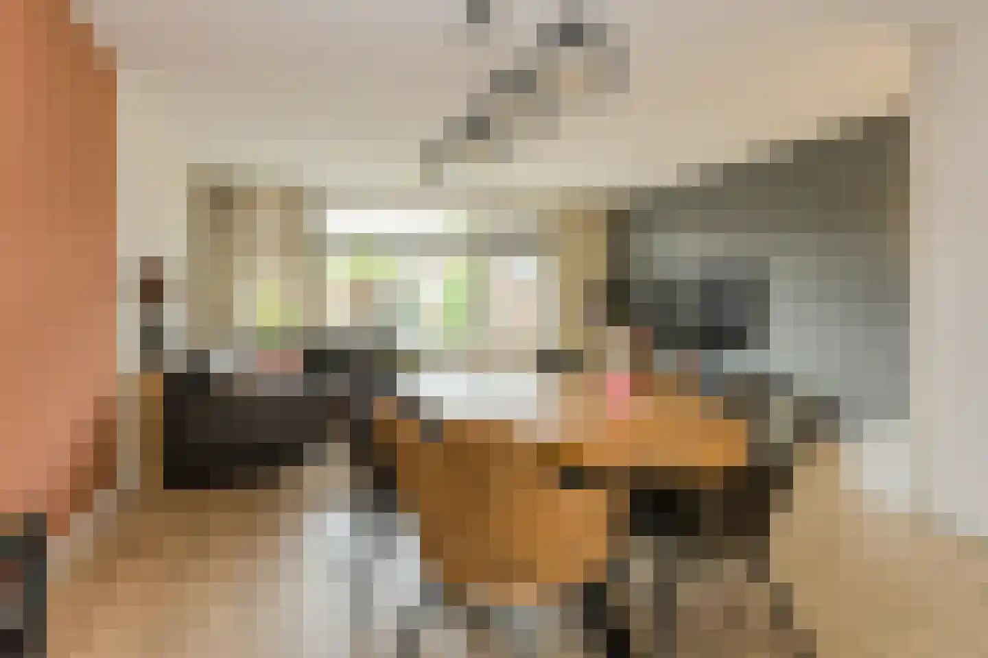 Ouderf 22 Breda thumbnail 12