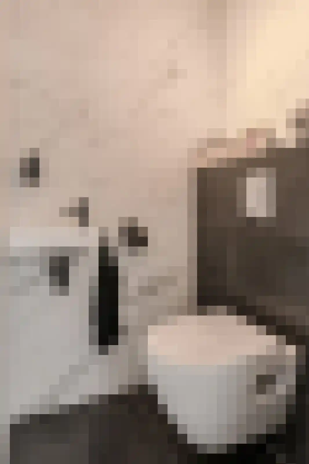 Ouderf 22 Breda thumbnail 14