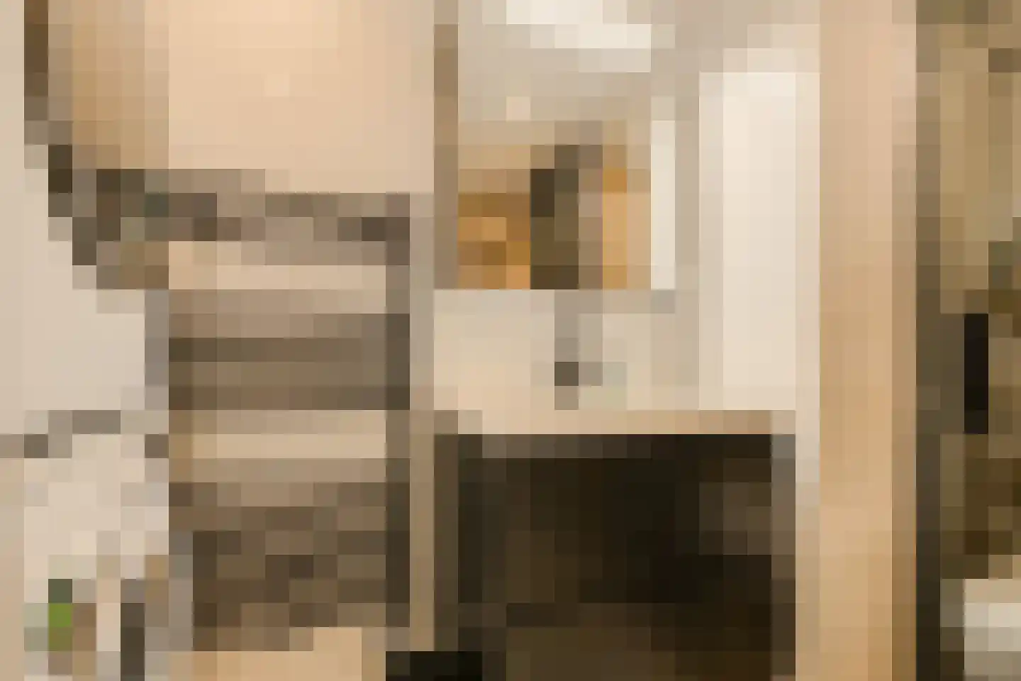 Ouderf 22 Breda thumbnail 20