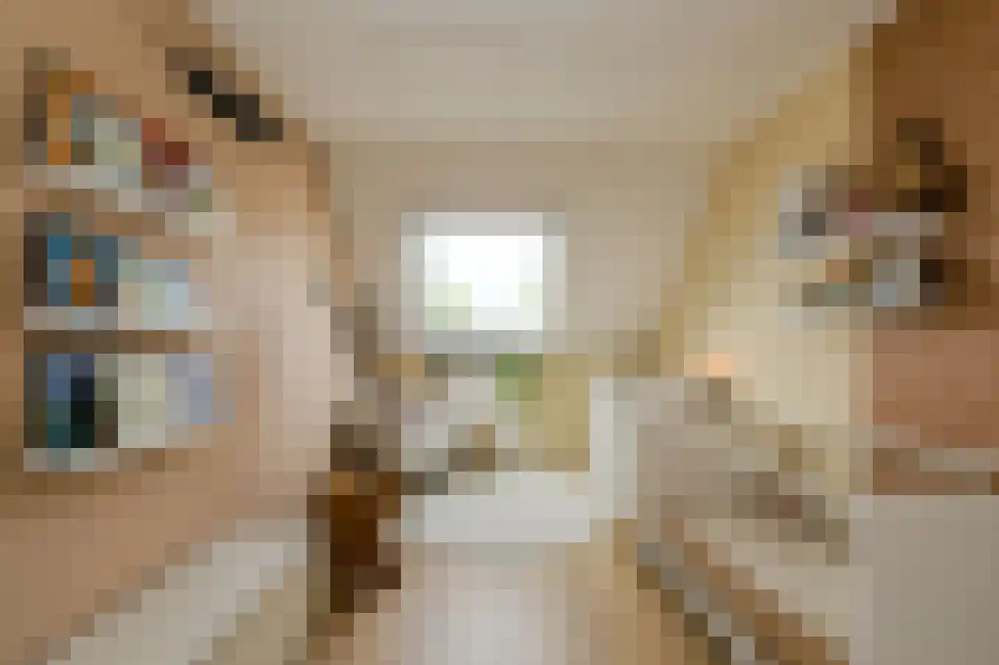 Ouderf 22 Breda thumbnail 25