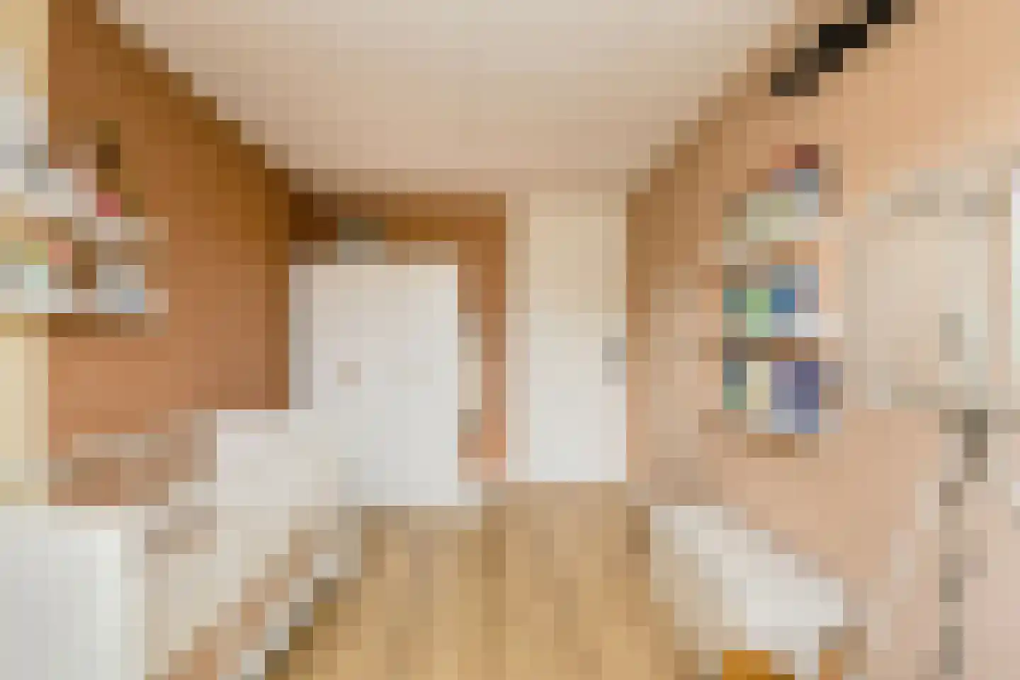 Ouderf 22 Breda thumbnail 26