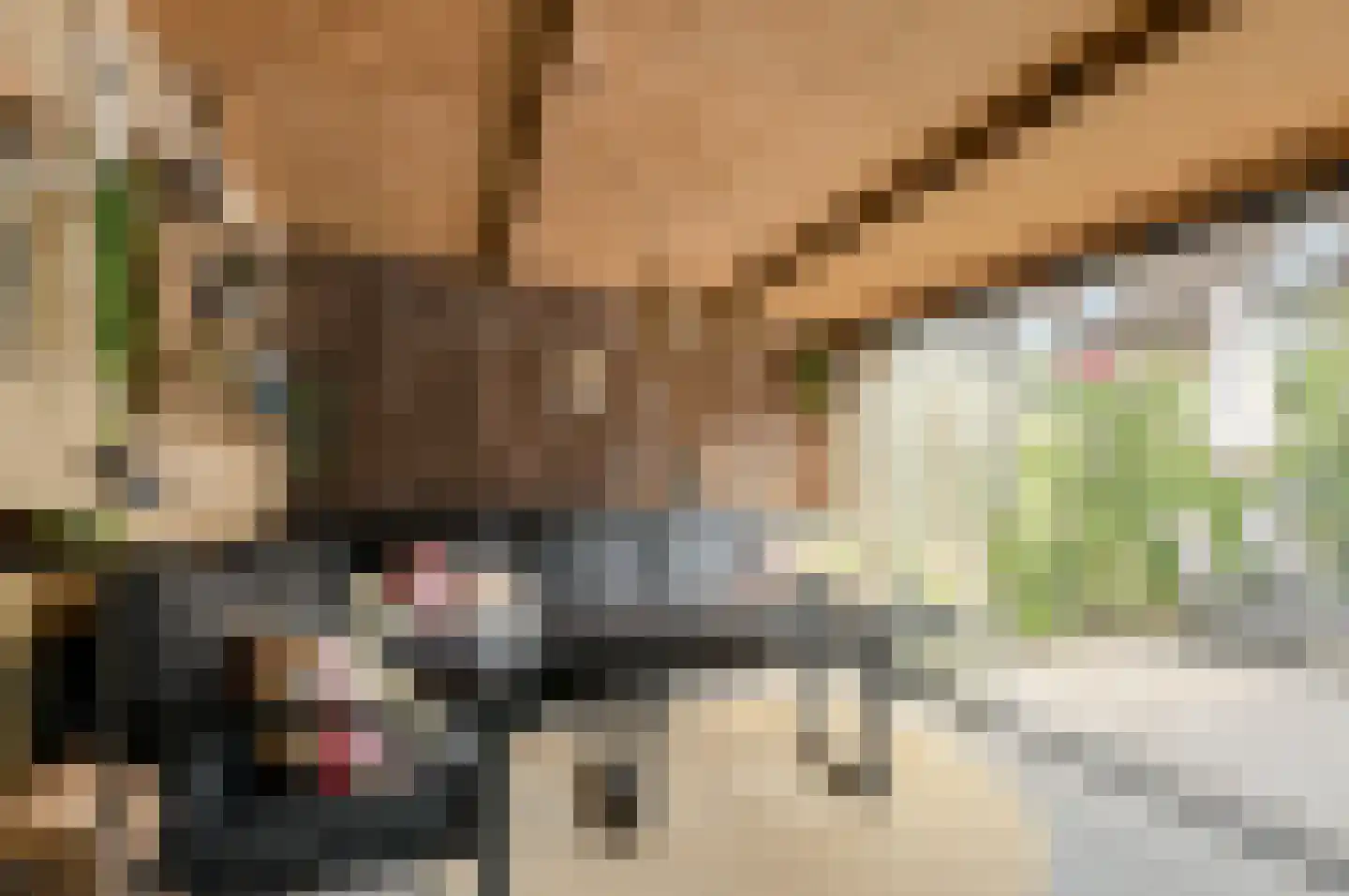 Ouderf 22 Breda thumbnail 34