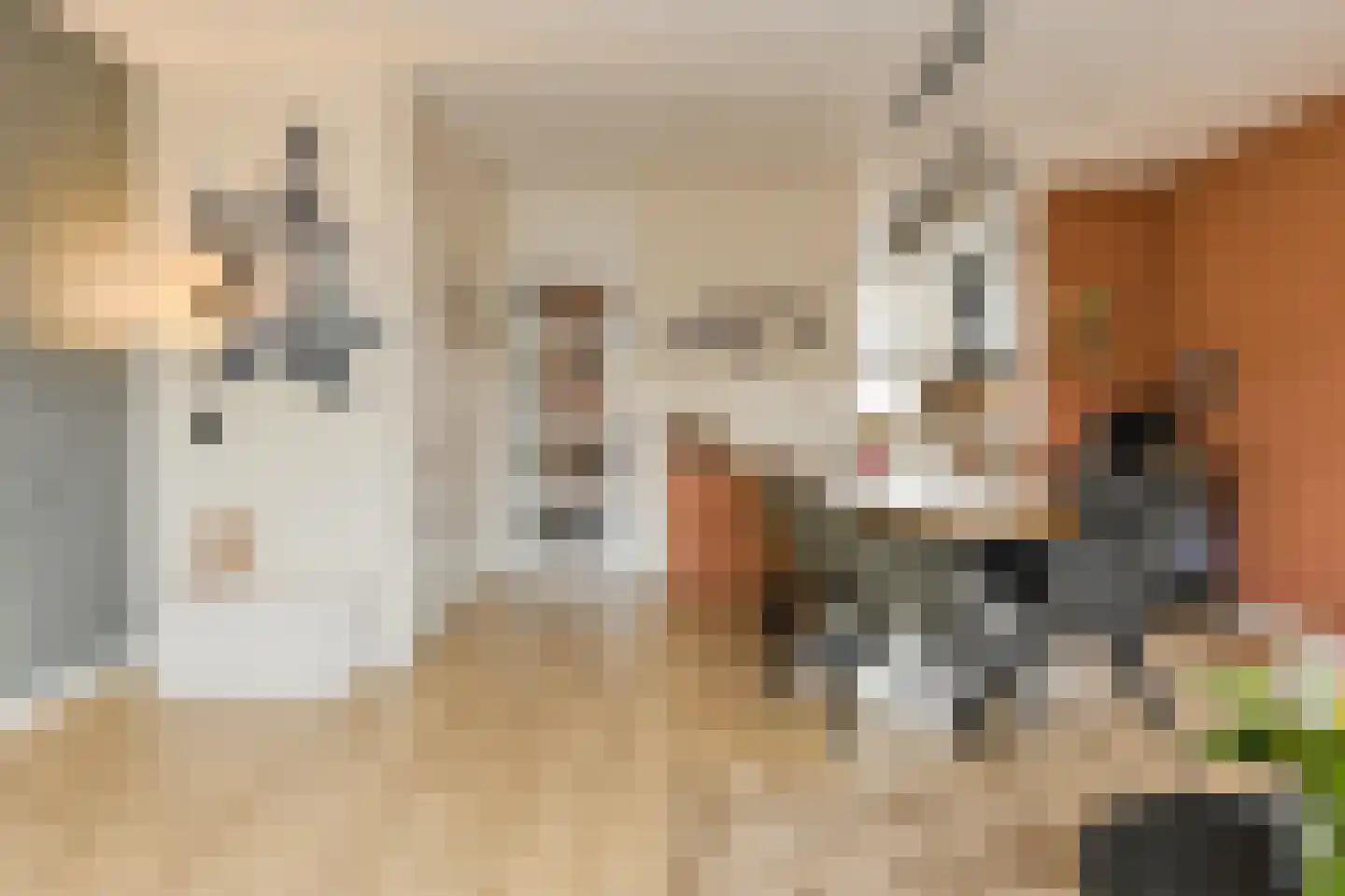 Ouderf 22 Breda thumbnail 7