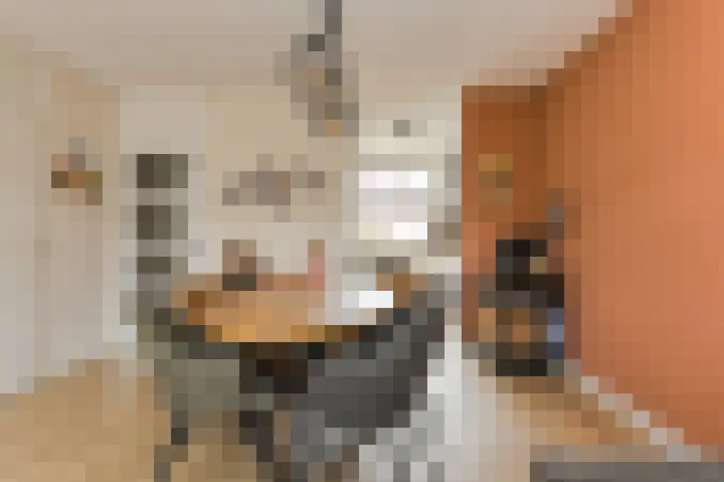 Ouderf 22 Breda thumbnail 8