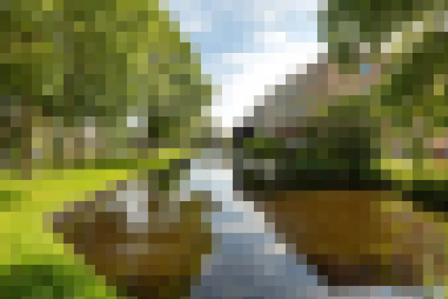 Oudergaarde 1 202 Kortenhoef thumbnail 17