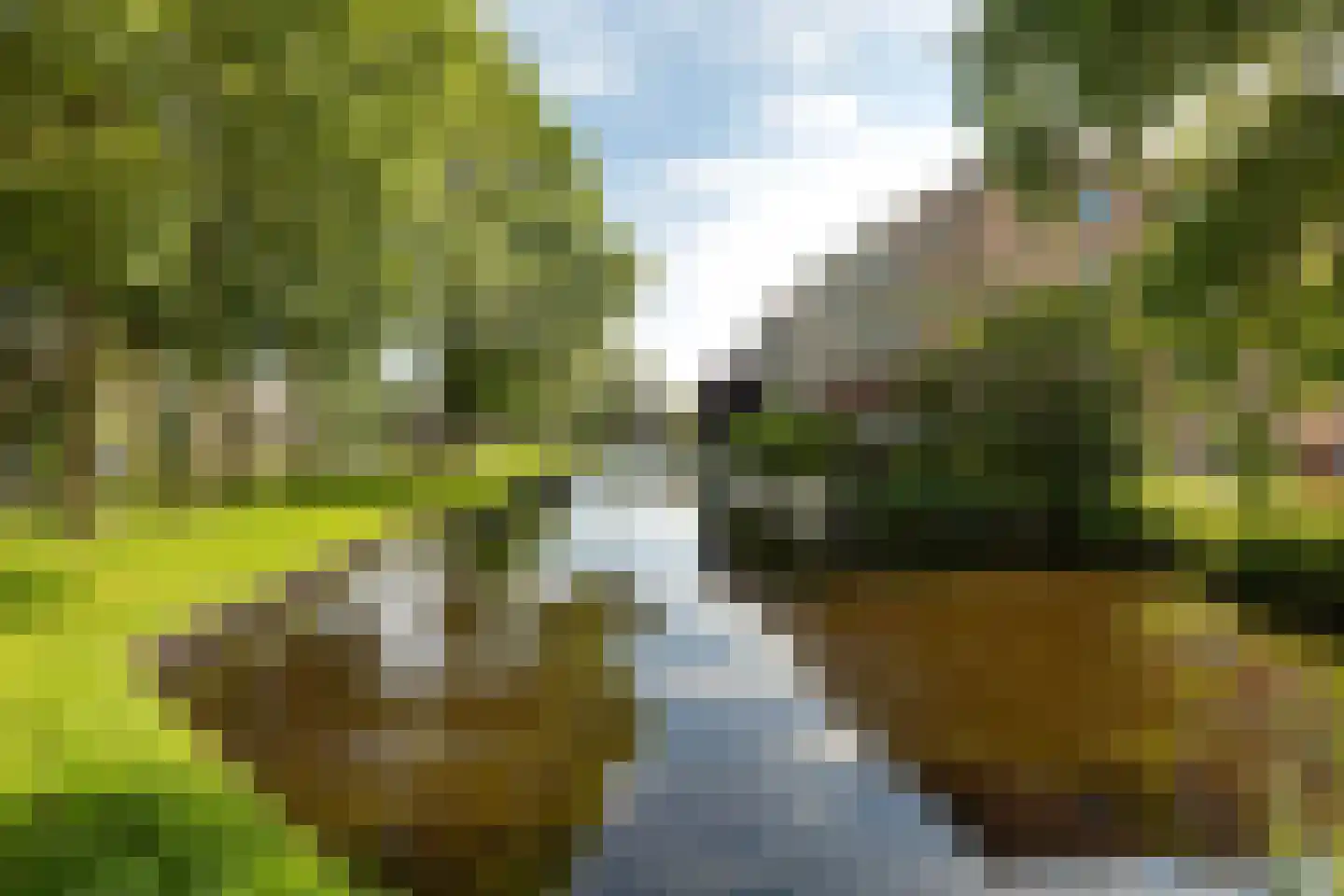 Oudergaarde 1 207 Kortenhoef thumbnail 14