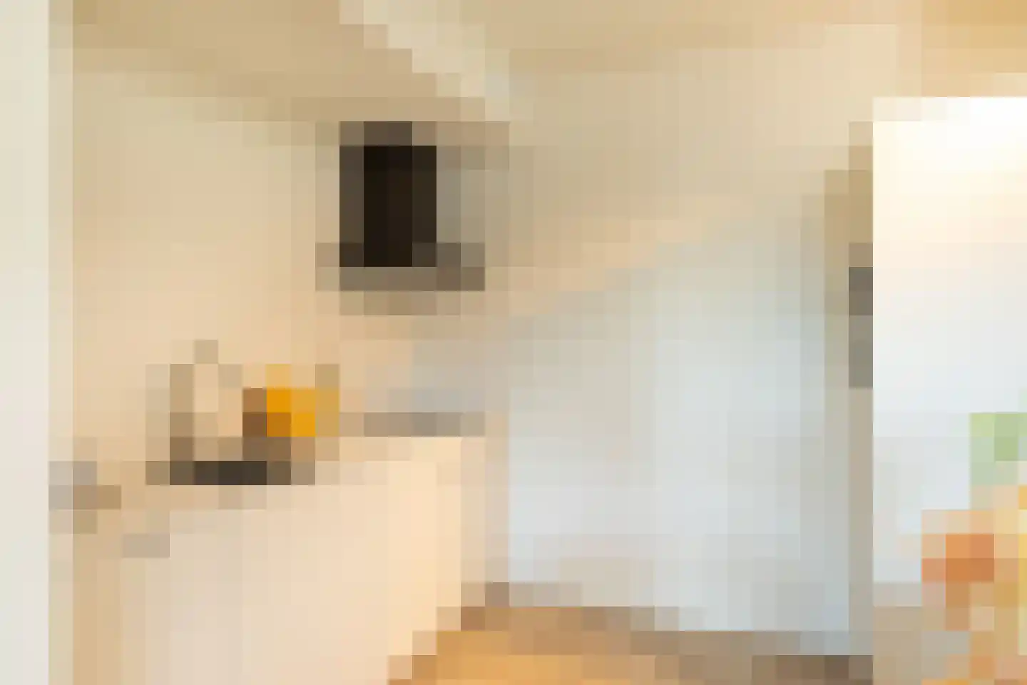 Oudergaarde 1 213 Kortenhoef thumbnail 8