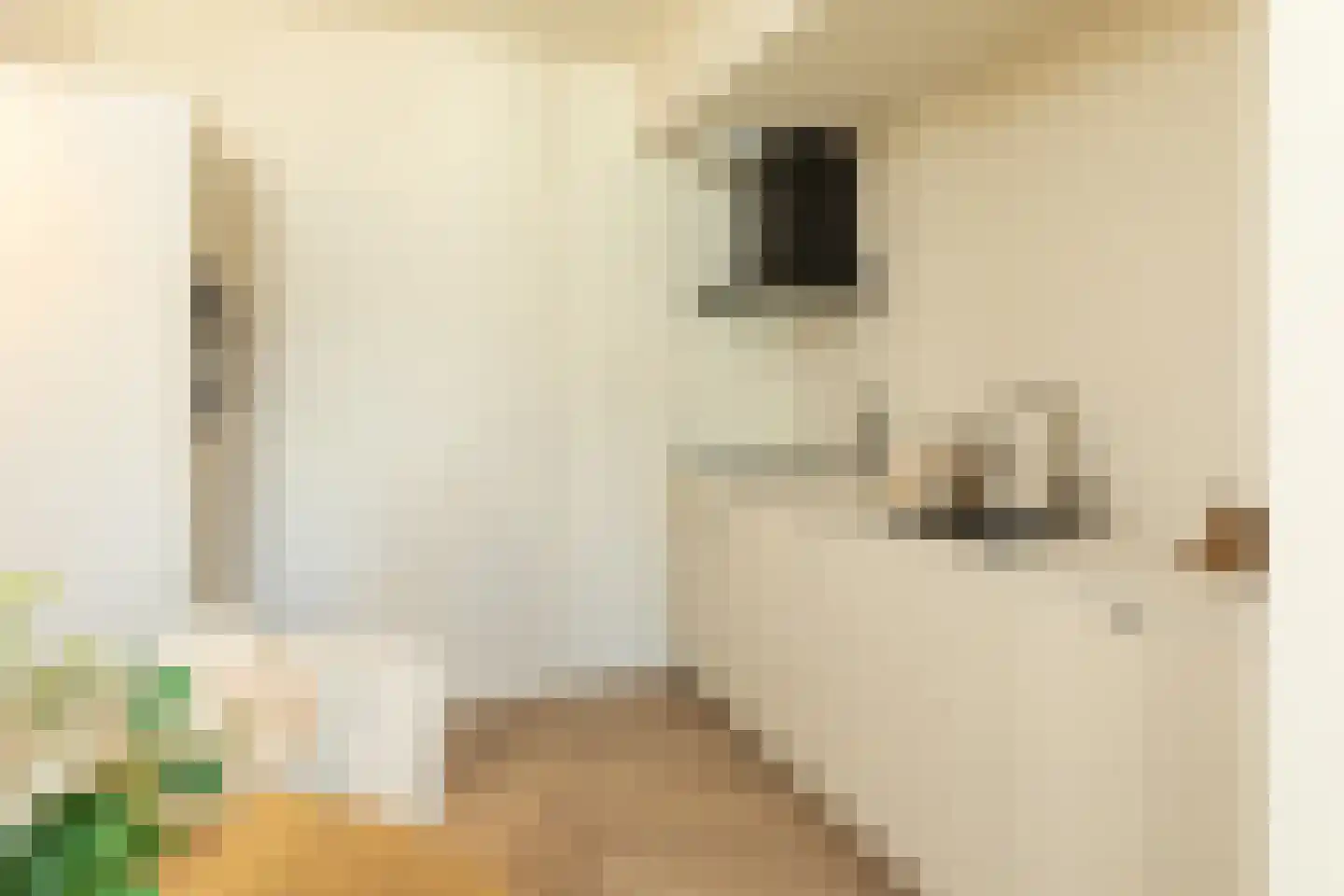 Oudergaarde 1 227 Kortenhoef thumbnail 8