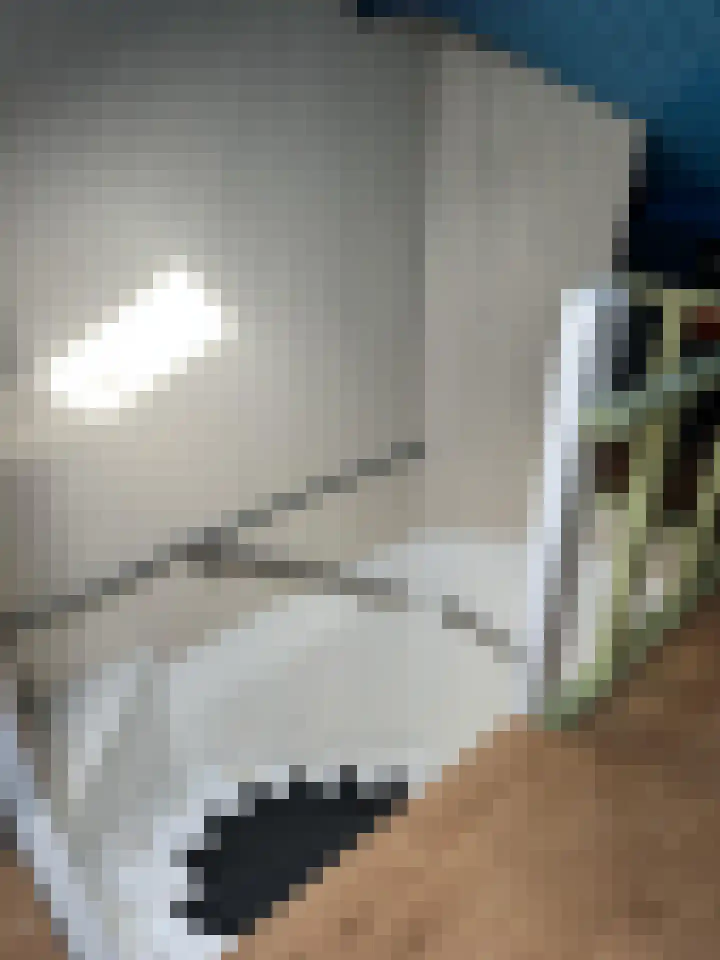 Oudergemstraat 35 Breda thumbnail 20