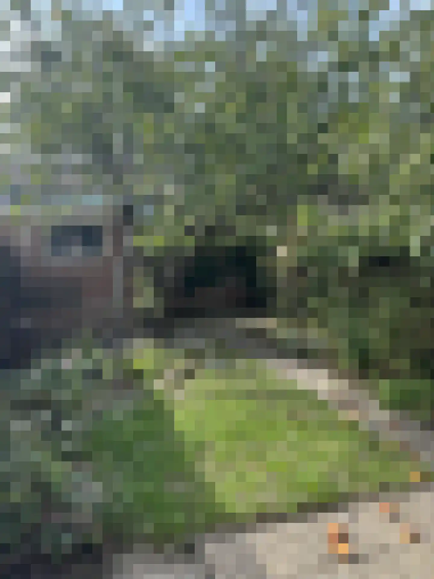 Oudergemstraat 35 Breda thumbnail 26
