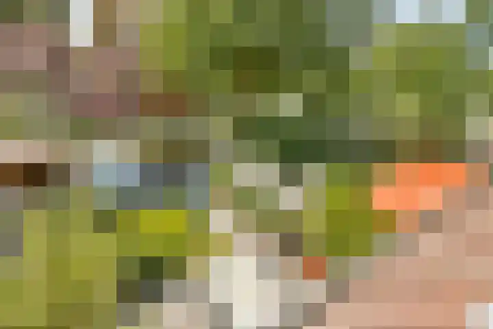Ouderhoek 3 Loenen aan de Vecht thumbnail 20