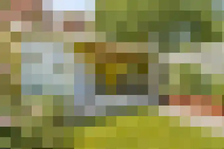 Ouderhoek 3 Loenen aan de Vecht thumbnail 22