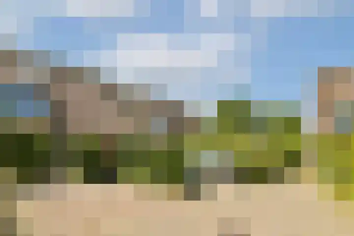 Ouderhoek 3 Loenen aan de Vecht thumbnail 24