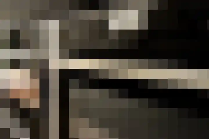 Ouderhoek 3 Loenen aan de Vecht thumbnail 6