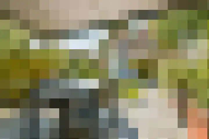 Ouderhoek 3 Loenen aan de Vecht thumbnail 8