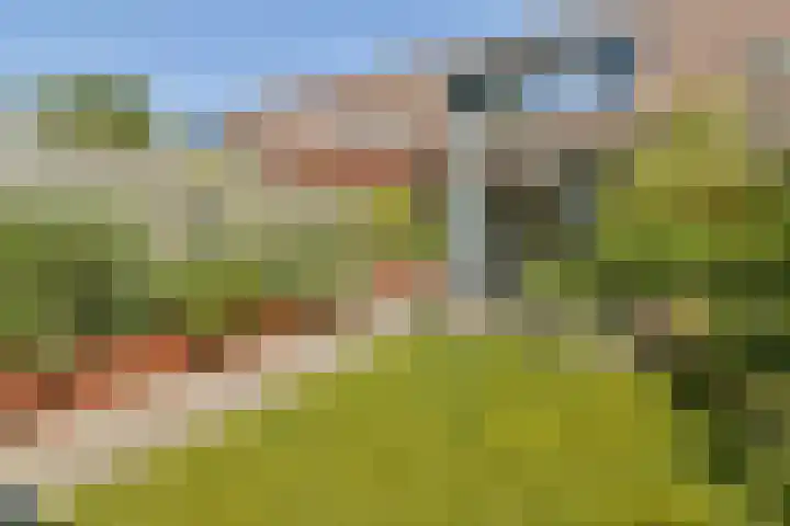 Ouderhoek 3 Loenen aan de Vecht thumbnail 9
