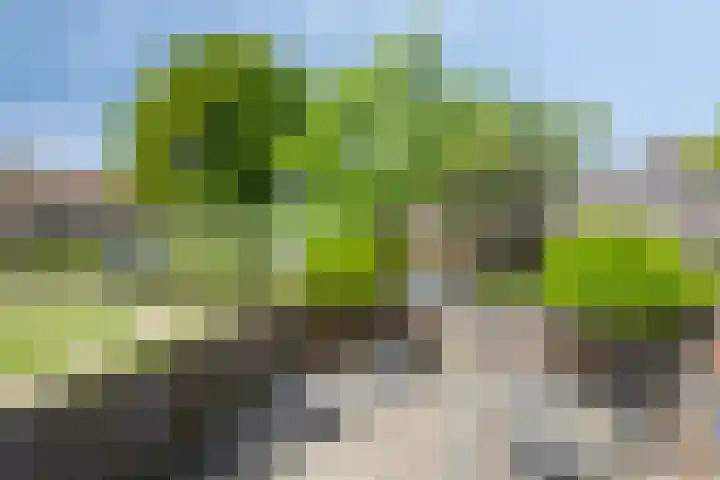 Ouderhoek 82 Loenen aan de Vecht thumbnail 20