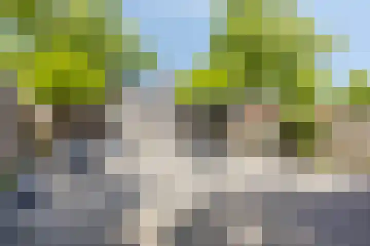 Ouderhoek 82 Loenen aan de Vecht thumbnail 26