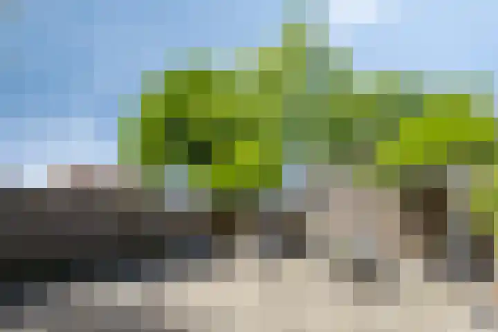 Ouderhoek 82 Loenen aan de Vecht thumbnail 27
