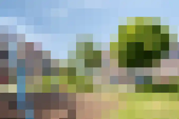 Ouderhoek 82 Loenen aan de Vecht thumbnail 32
