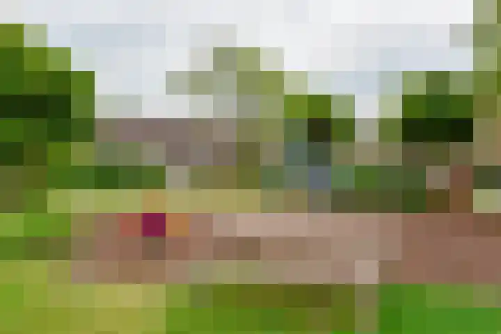 Ouderhoek 82 Loenen aan de Vecht thumbnail 33