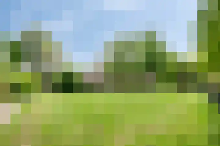 Ouderhoek 82 Loenen aan de Vecht thumbnail 36