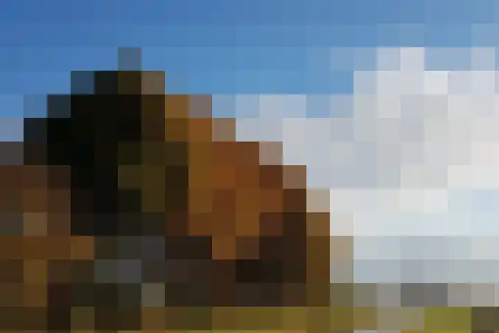 Ouderhoek 82 Loenen aan de Vecht thumbnail 39