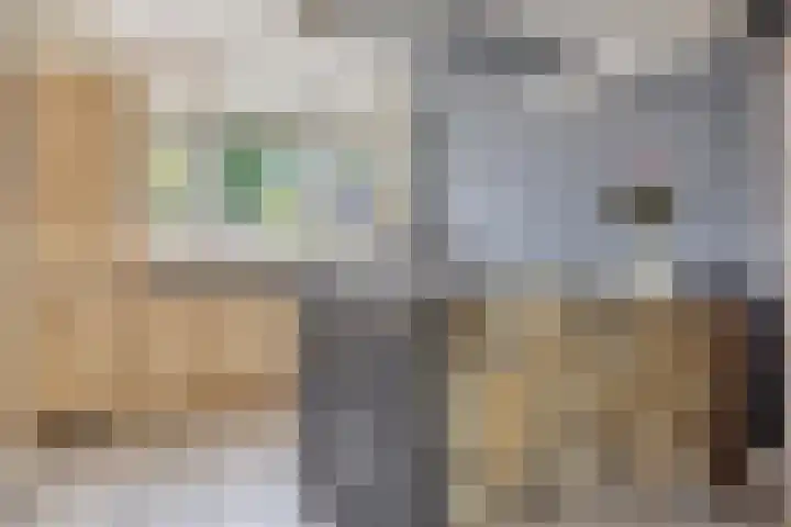 Ouderhoek 82 Loenen aan de Vecht thumbnail 8