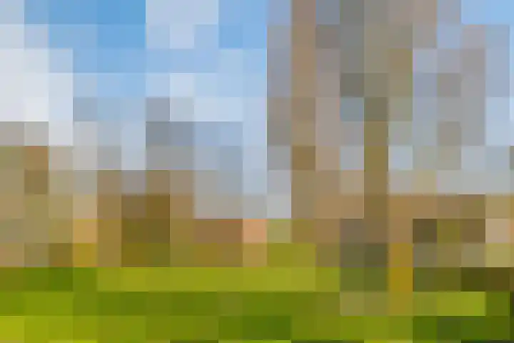Ouderkerkerlaan 112 Amstelveen thumbnail 29
