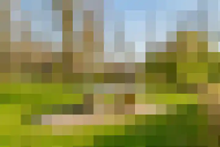 Ouderkerkerlaan 112 Amstelveen thumbnail 30