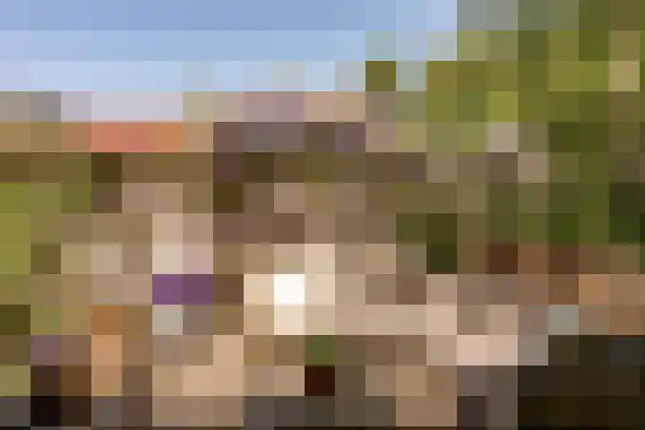 Ouderkerkerlaan 133 Amstelveen thumbnail 18