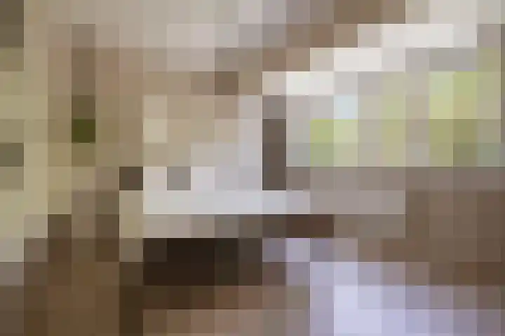 Ouderkerkerlaan 133 Amstelveen thumbnail 28