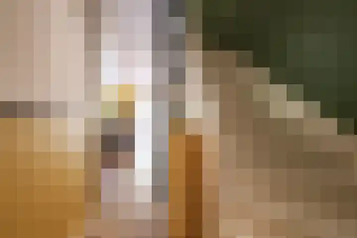 Ouderkerkerlaan 133 Amstelveen thumbnail 5