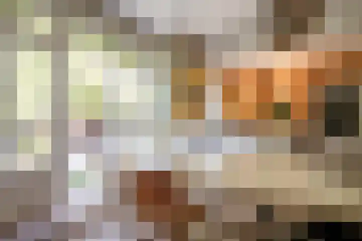 Ouderkerkerlaan 133 Amstelveen thumbnail 9