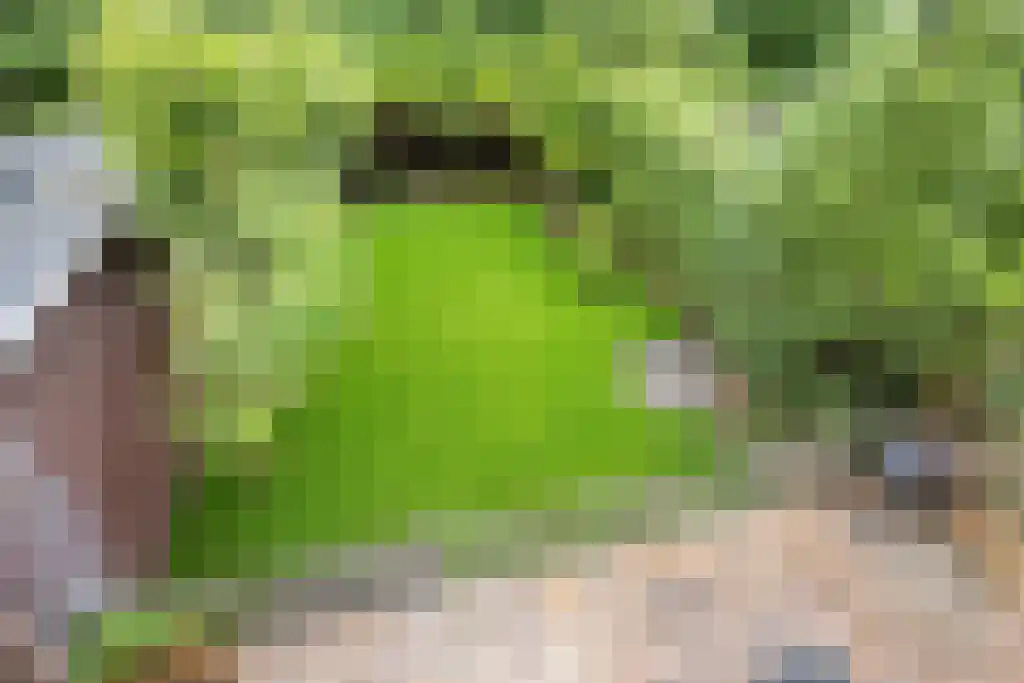 Ouderkerkerlaan 35 Amstelveen thumbnail 4