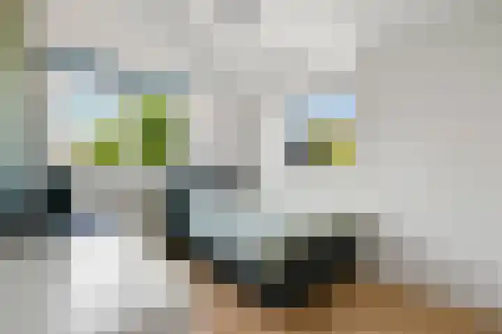 Ouderkerkerlaan 54 Amstelveen thumbnail 20