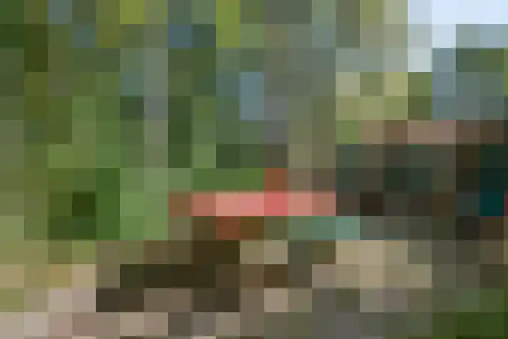 Ouderkerkerlaan 54 Amstelveen thumbnail 30