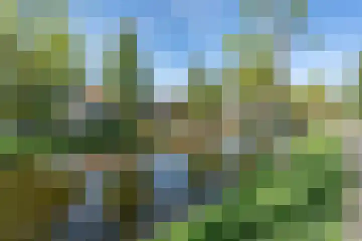 Ouderkerkerlaan 54 Amstelveen thumbnail 36