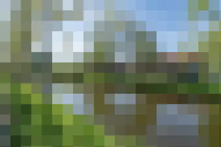 Ouderkerkerlaan 54 Amstelveen thumbnail 37