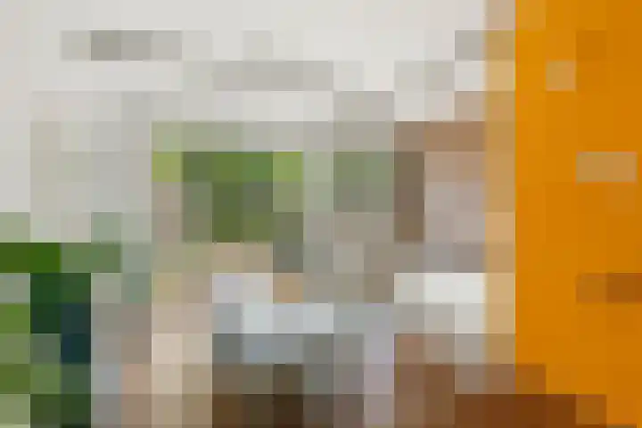 Ouderkerkerlaan 54 Amstelveen thumbnail 4