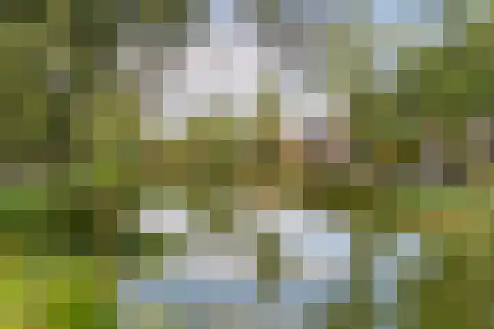 Ouderkerkerlaan 80 Amstelveen thumbnail 37