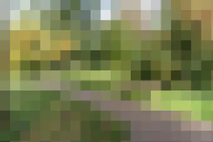 Ouderkerkerlaan 80 Amstelveen thumbnail 38