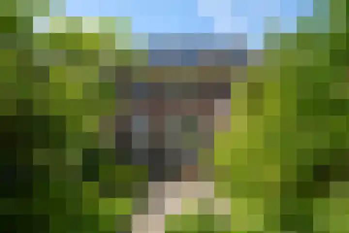 Ouderkerkerlaan 96 Amstelveen thumbnail 13