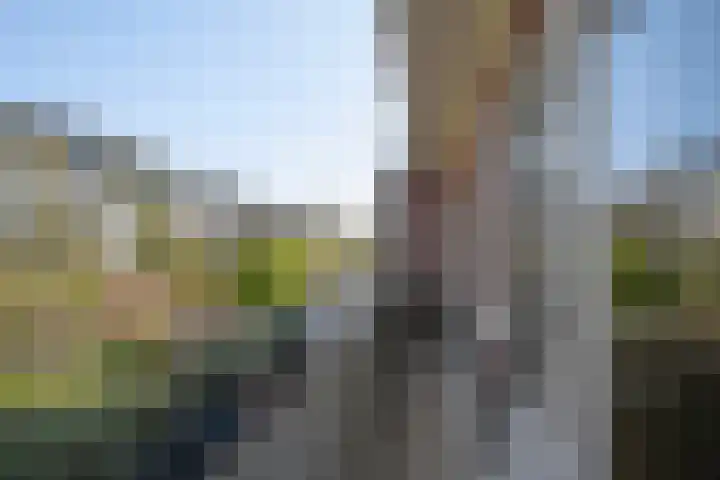 Ouderkerkerlaan 96 Amstelveen thumbnail 23