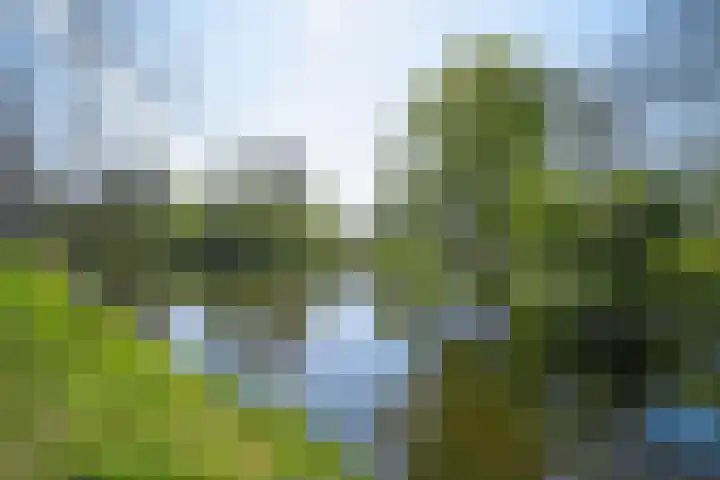 Ouderkerkerlaan 96 Amstelveen thumbnail 35